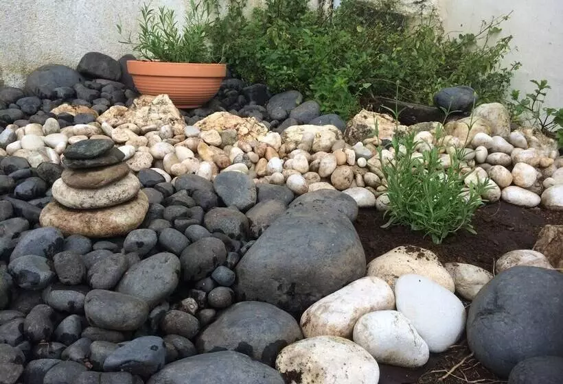 Residenssi Refugio Da Montanha Amazing Views Gois Region