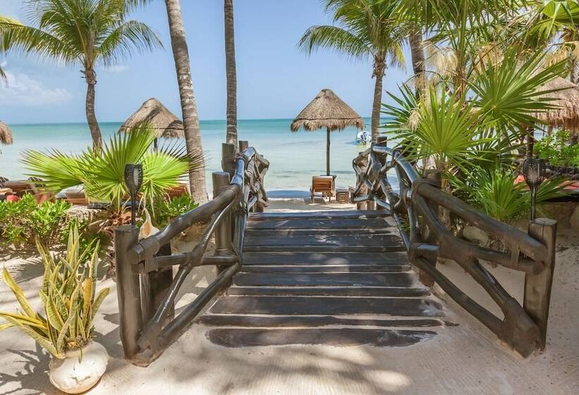 Beachfront Hotel La Palapa   Adults Only