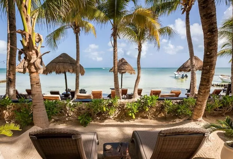 Beachfront Hotel La Palapa Adults Only