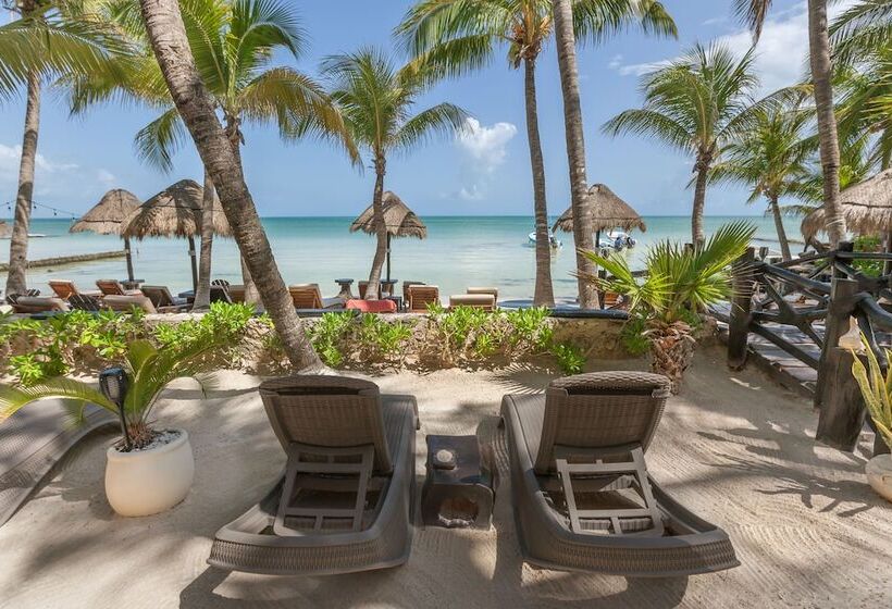 Beachfront Hotel La Palapa   Adults Only