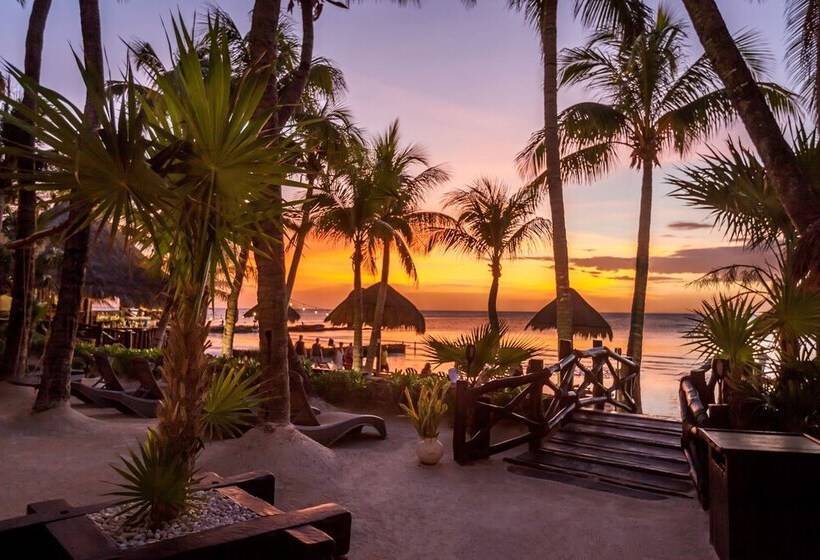 Beachfront Hotel La Palapa   Adults Only