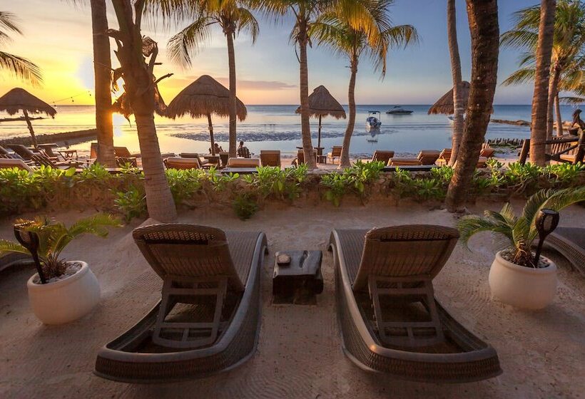 Beachfront Hotel La Palapa   Adults Only