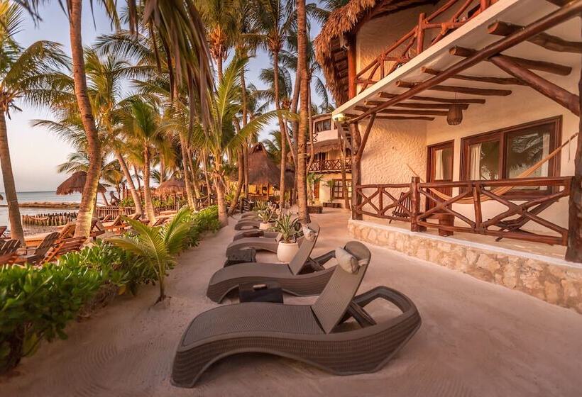 Beachfront Hotel La Palapa   Adults Only