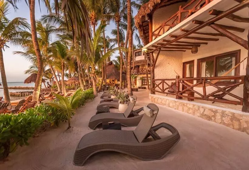 Beachfront Hotel La Palapa Adults Only