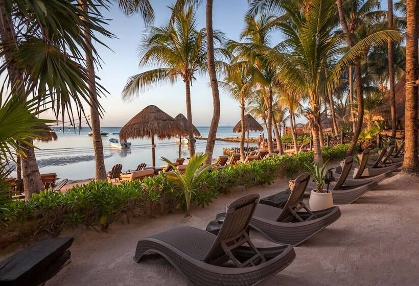 Beachfront Hotel La Palapa   Adults Only
