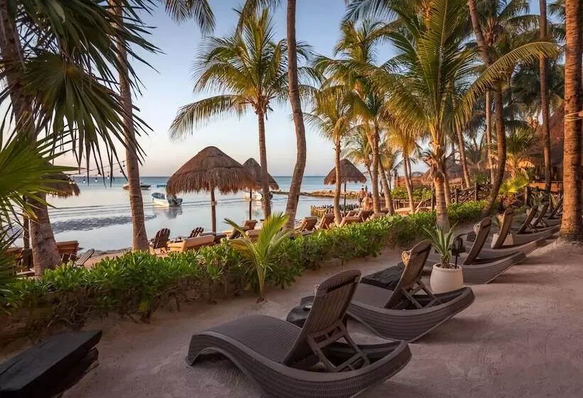Beachfront Hotel La Palapa Adults Only