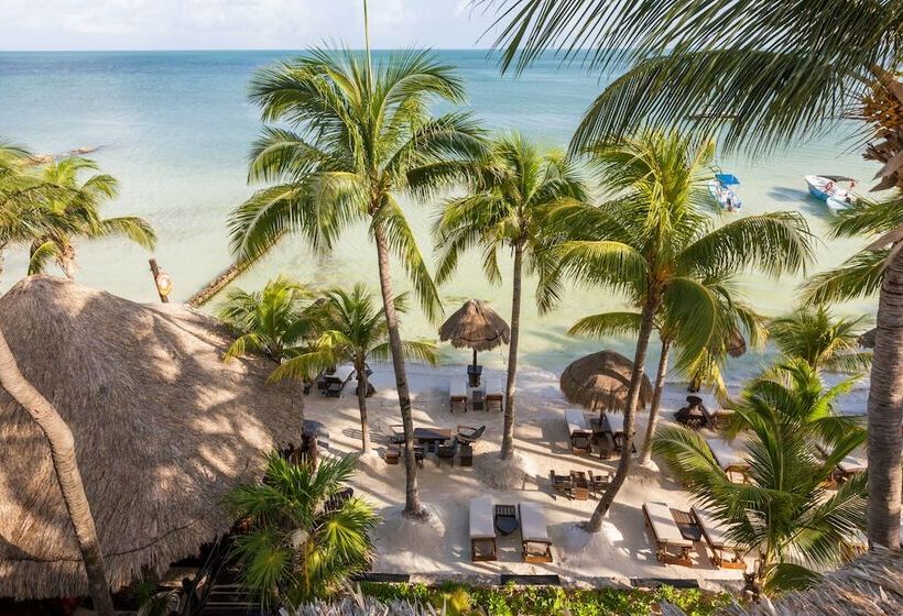 Beachfront Hotel La Palapa   Adults Only