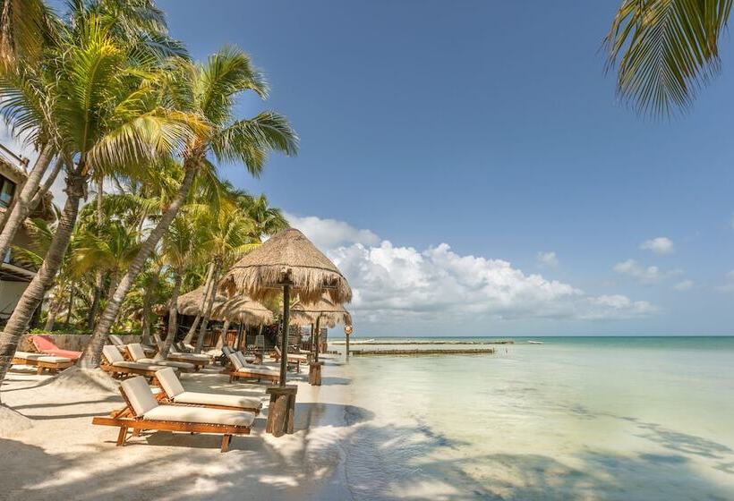 Beachfront Hotel La Palapa   Adults Only