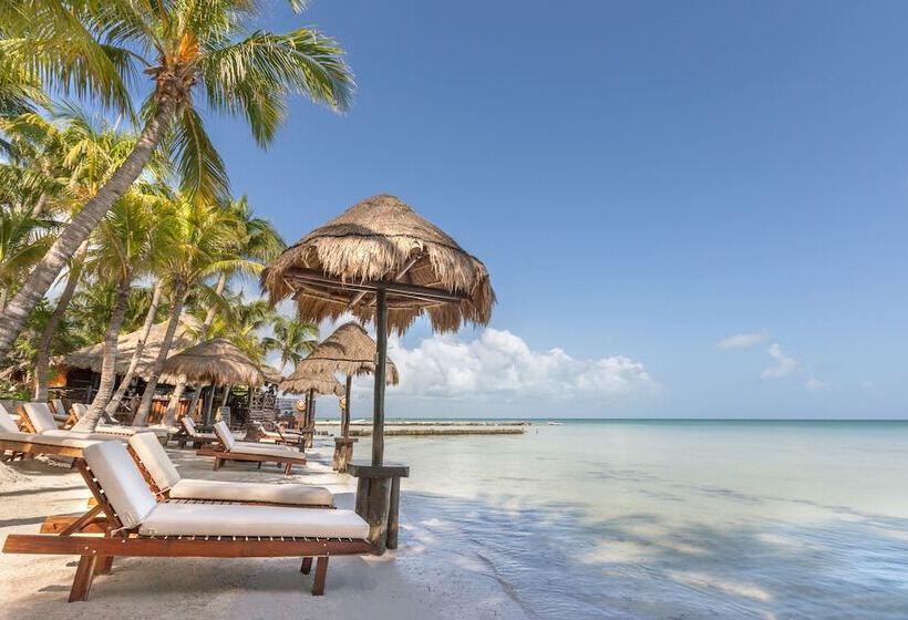 Beachfront Hotel La Palapa   Adults Only