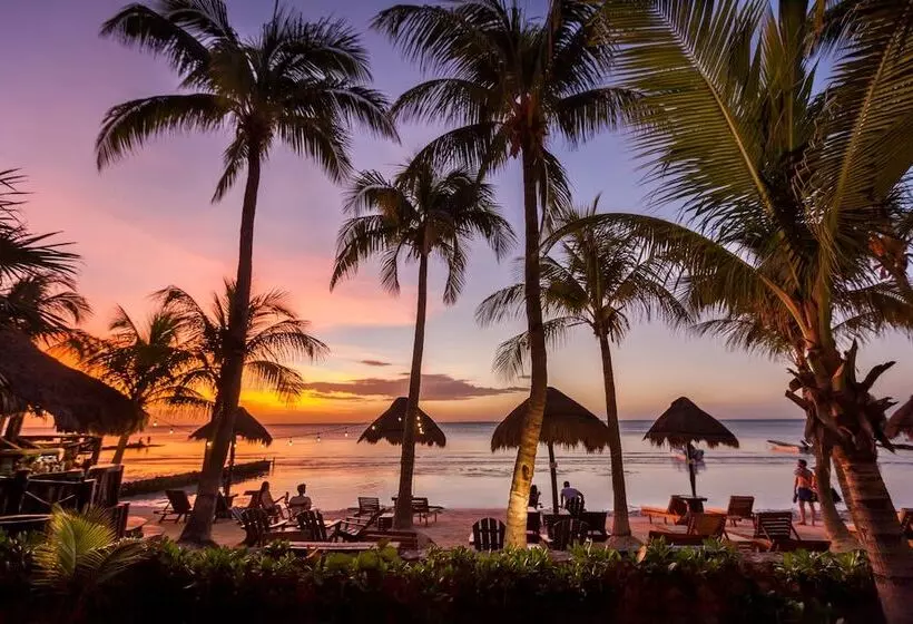 Beachfront Hotel La Palapa Adults Only