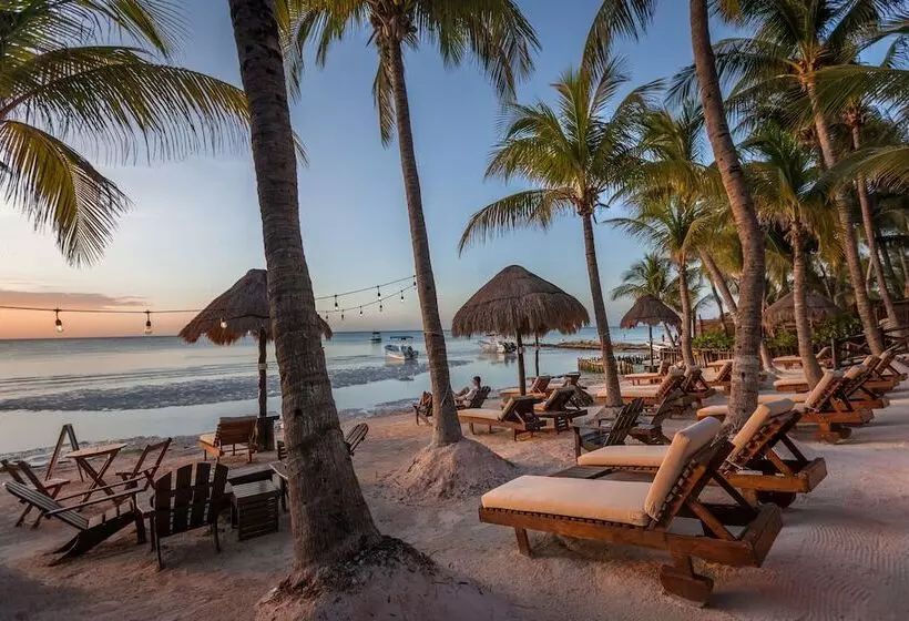Beachfront Hotel La Palapa Adults Only