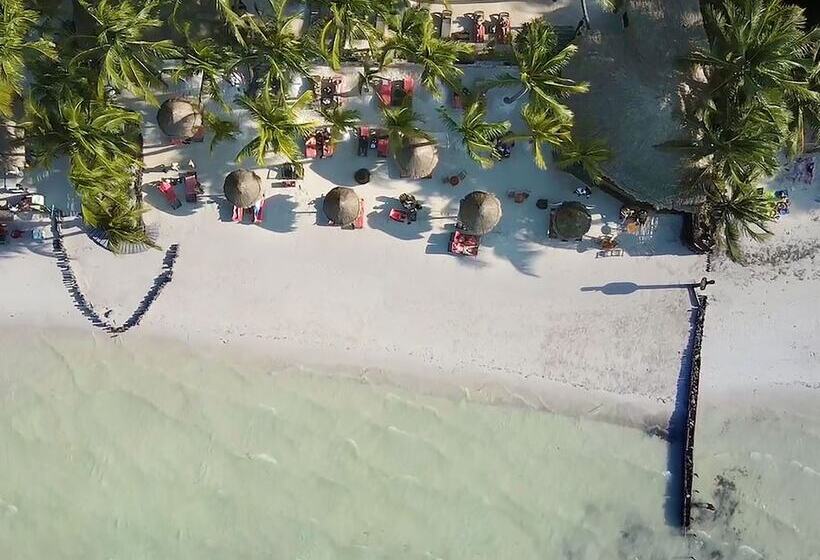 Beachfront Hotel La Palapa   Adults Only