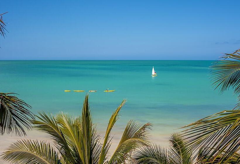 Beachfront Hotel La Palapa   Adults Only