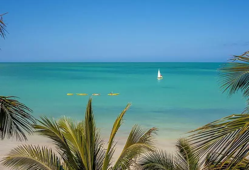 Beachfront Hotel La Palapa Adults Only