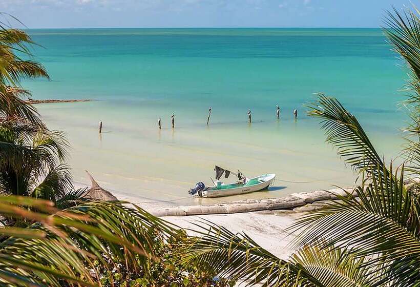 Beachfront Hotel La Palapa   Adults Only