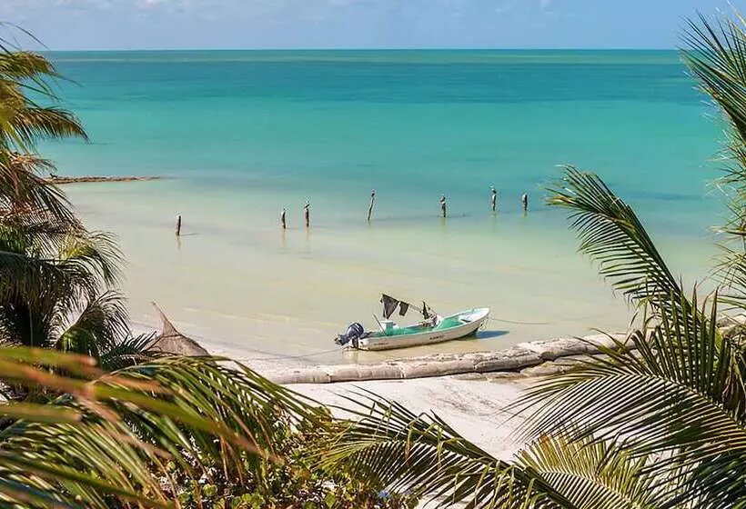 Beachfront Hotel La Palapa Adults Only