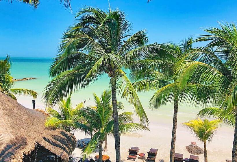 Beachfront Hotel La Palapa   Adults Only