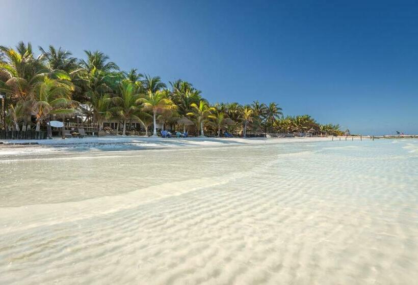 Beachfront Hotel La Palapa   Adults Only