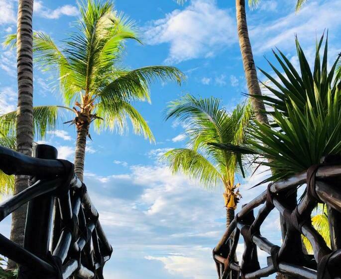 Beachfront Hotel La Palapa   Adults Only