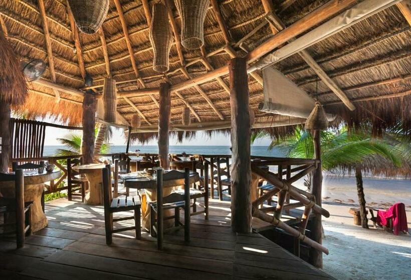 Beachfront Hotel La Palapa   Adults Only