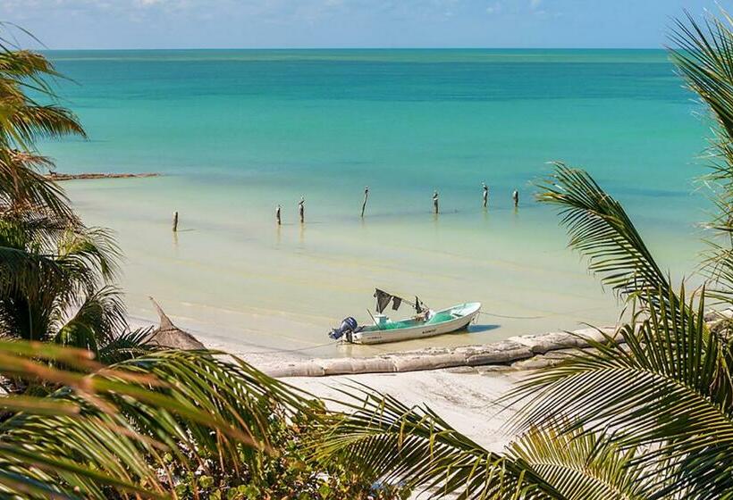 Beachfront Hotel La Palapa   Adults Only