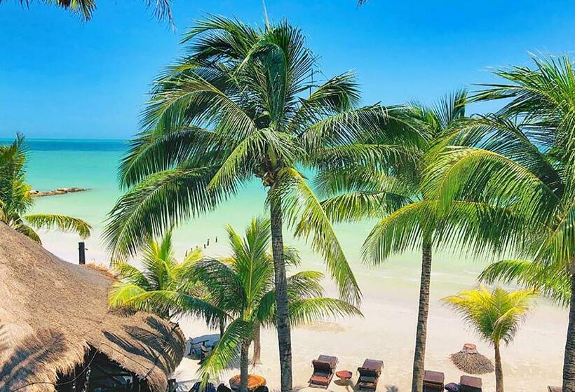 Beachfront Hotel La Palapa   Adults Only