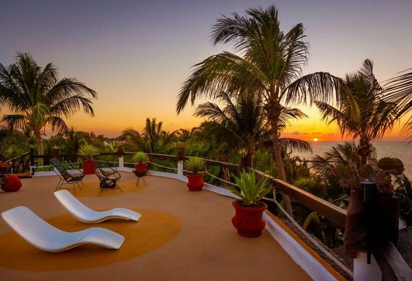 Beachfront Hotel La Palapa   Adults Only