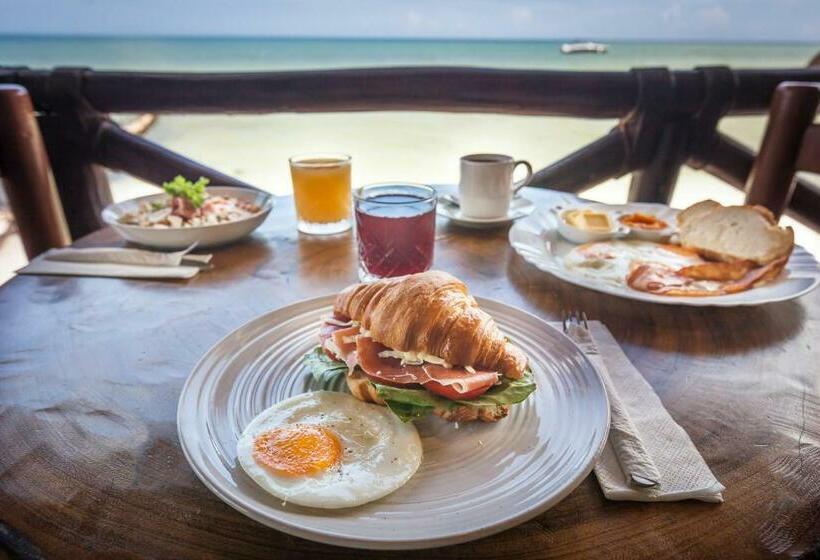 Beachfront Hotel La Palapa   Adults Only