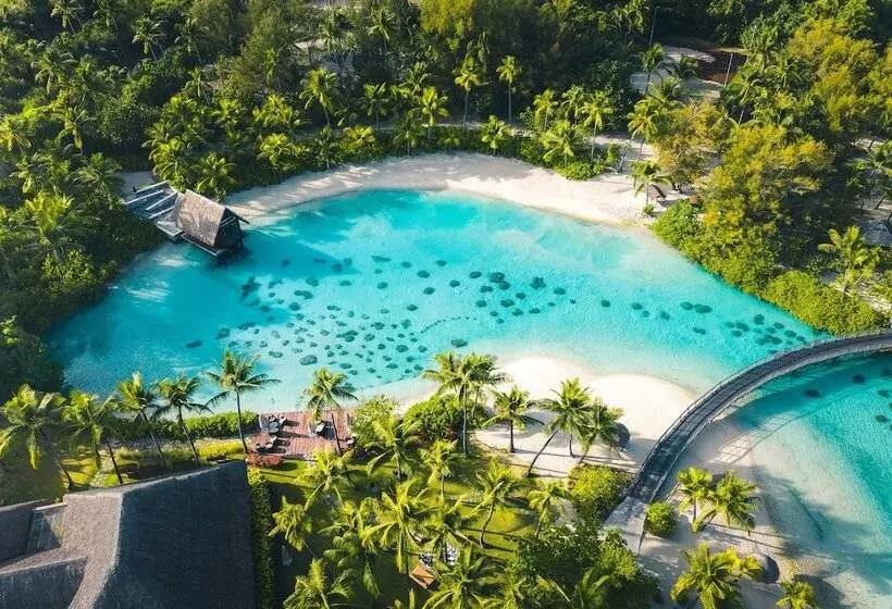 酒店 Intercontinental Bora Bora & Thalasso Spa, An Ihg