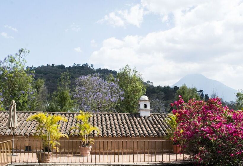 هتل Posada De Los Leones