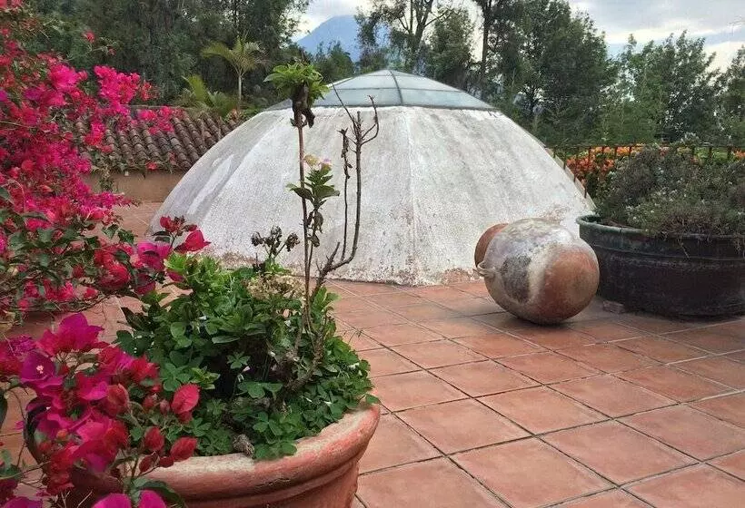 هتل Posada De Los Leones