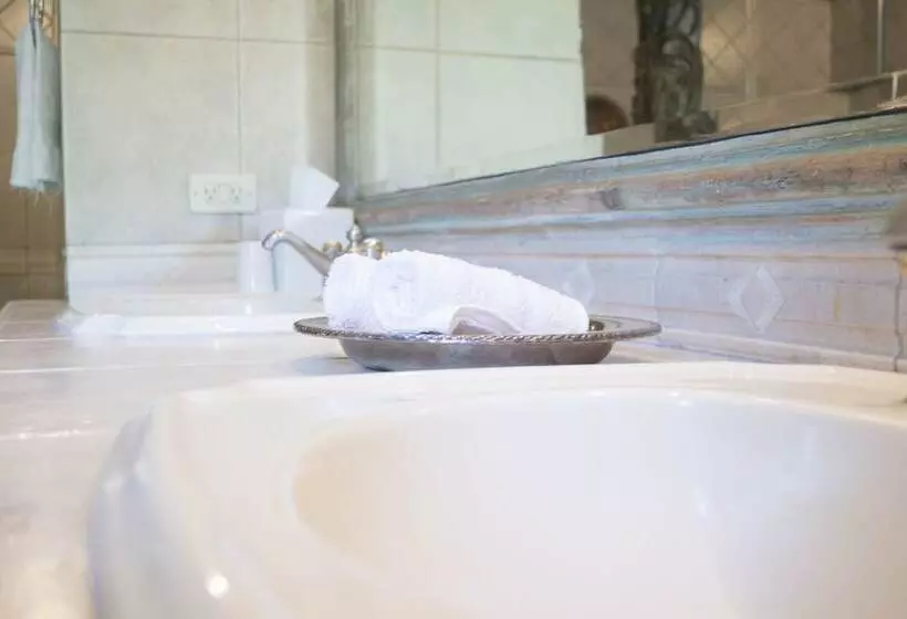 هتل Posada De Los Leones