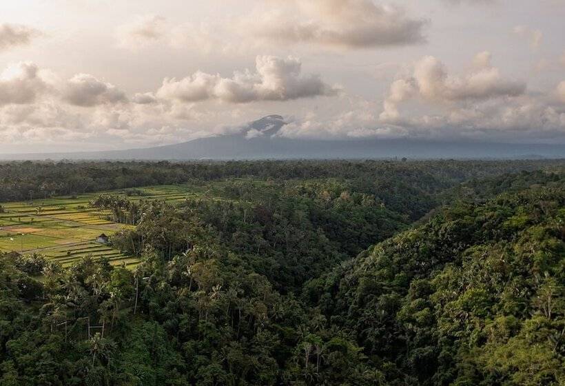 ホテル Puri Wulandari A Boutique Resort & Spa   Chse Certified