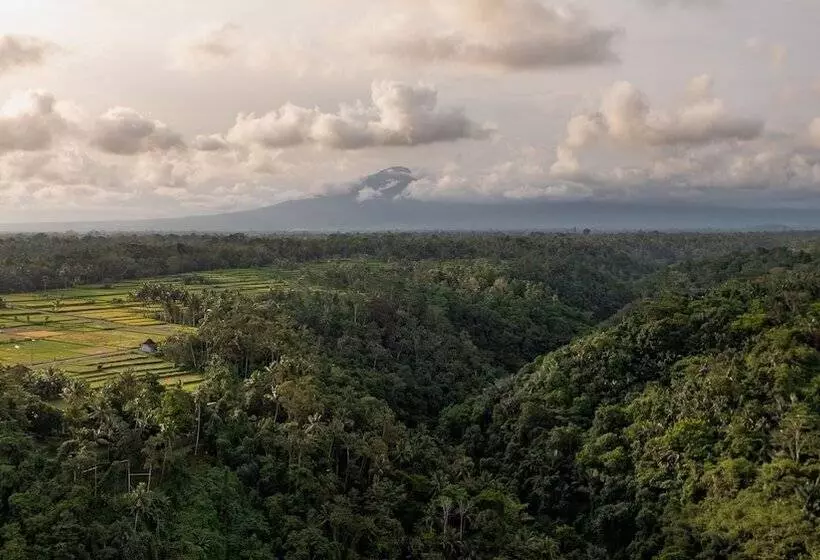 ホテル Puri Wulandari A Boutique Resort & Spa Chse Certified