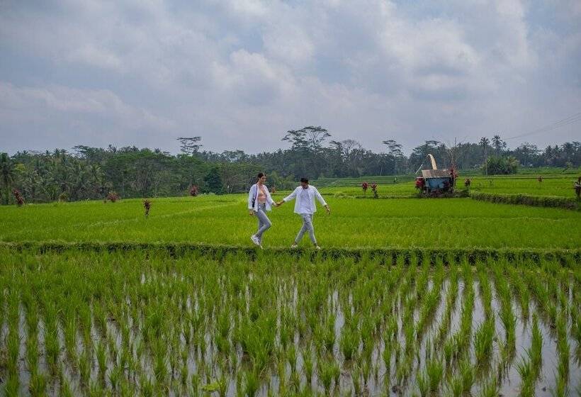 ホテル Puri Wulandari A Boutique Resort & Spa   Chse Certified