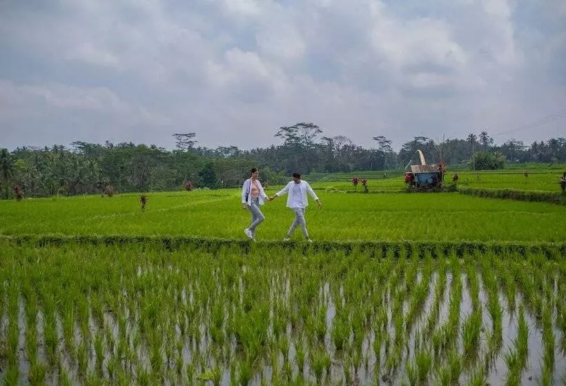 ホテル Puri Wulandari A Boutique Resort & Spa Chse Certified