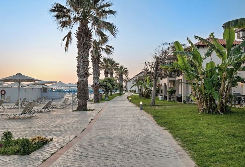 فندق White Olive Marine Aquapark   All Inclusive