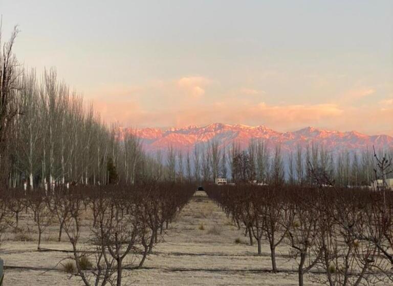 ユースホステル Las Guaras Valle De Uco