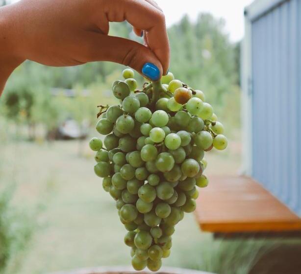 ユースホステル Las Guaras Valle De Uco