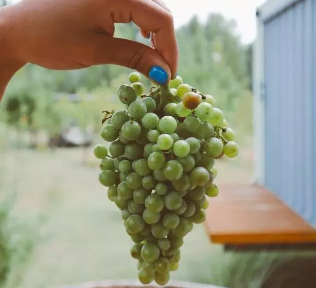 Retkeilymaja Las Guaras Valle De Uco