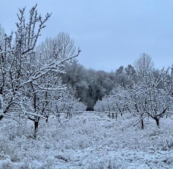 ユースホステル Las Guaras Valle De Uco