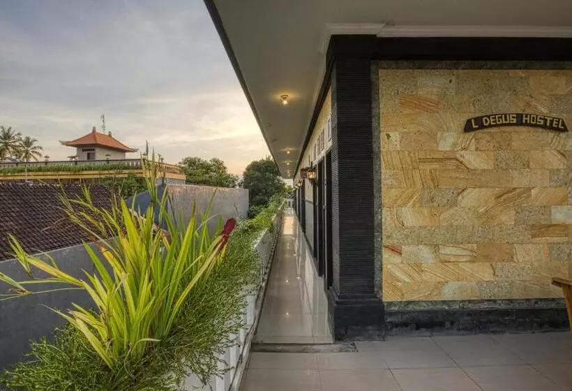 L Degus Hostel
