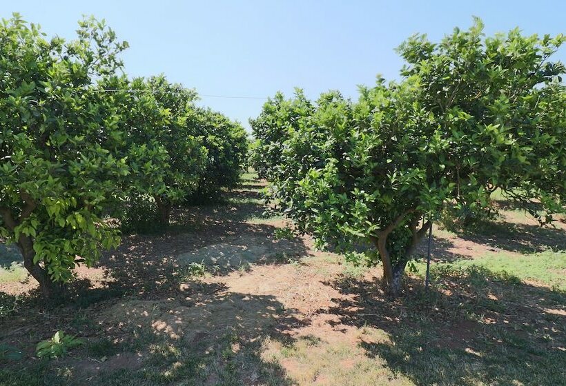 Pensjonat Double Pomegranate