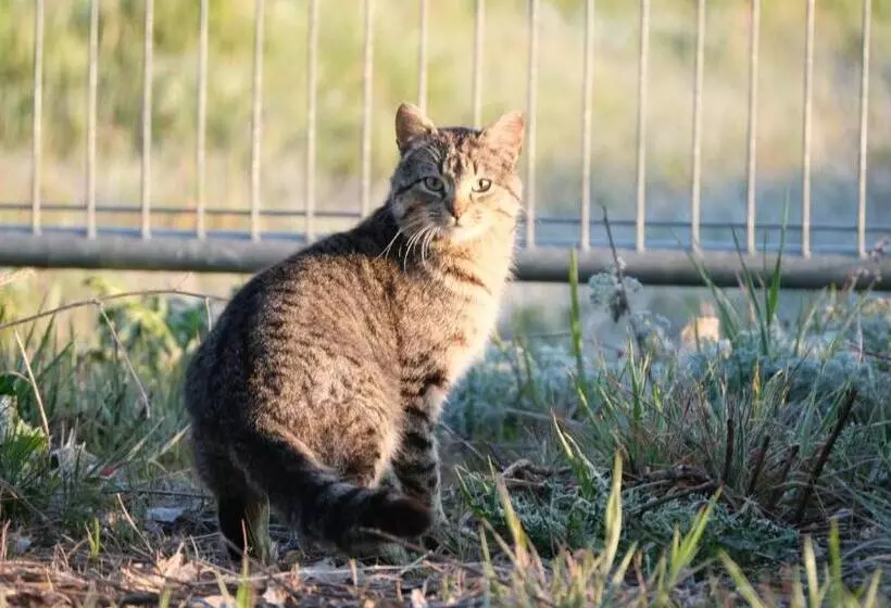 Hotelli La Casa De Las Camelias