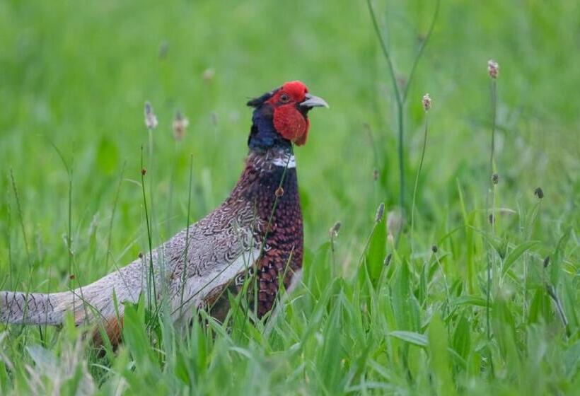 Hotel La Casa De Las Camelias