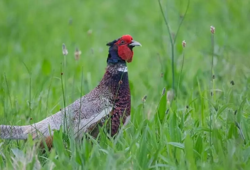 Hotelli La Casa De Las Camelias