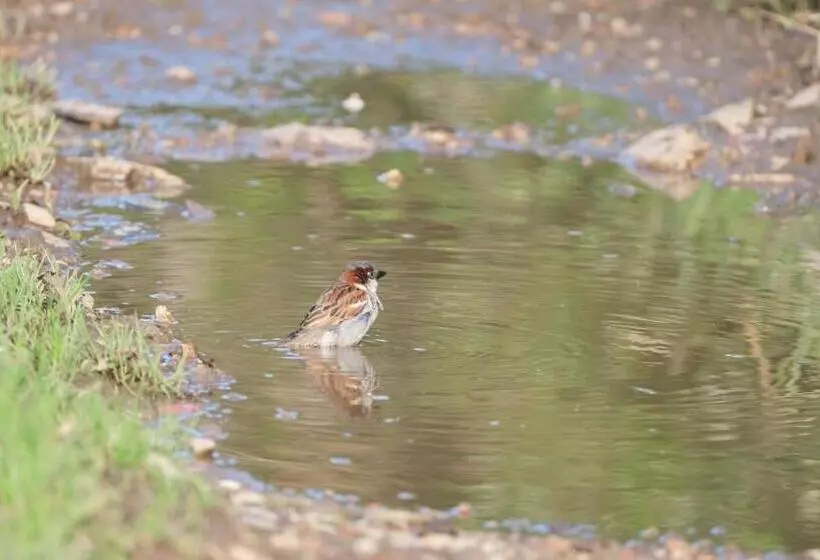 Hotelli La Casa De Las Camelias