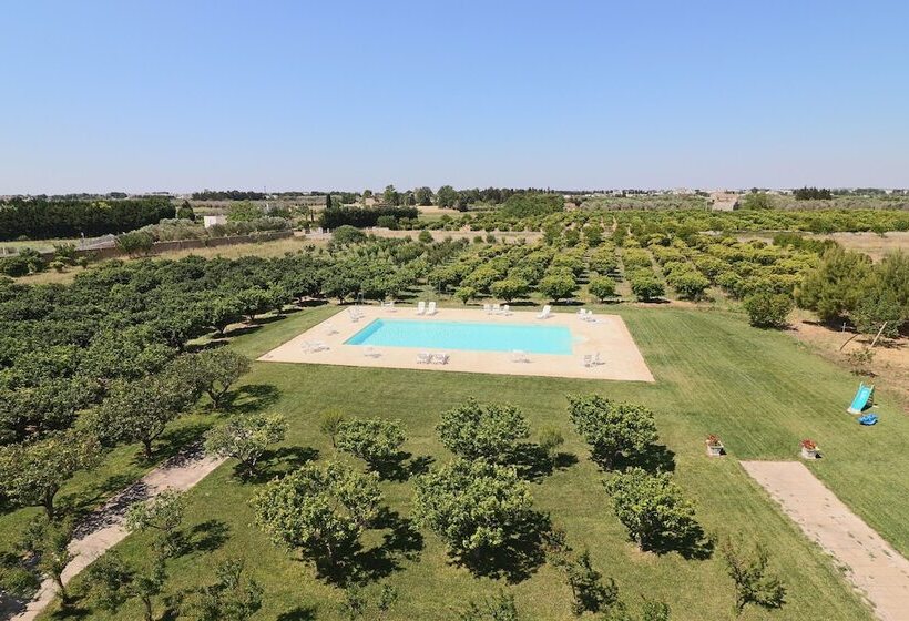 פנסיון Triple Comfort Pink Grapefruit