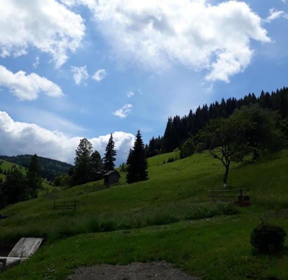 Pensiunea Casa Fierarul Din Bucovina