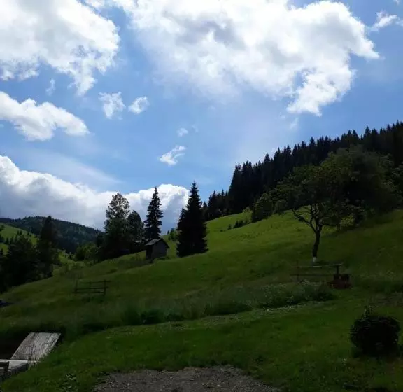 Pensiunea Casa Fierarul Din Bucovina